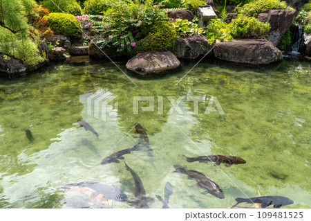 Kai Zenkoji Temple 109481525