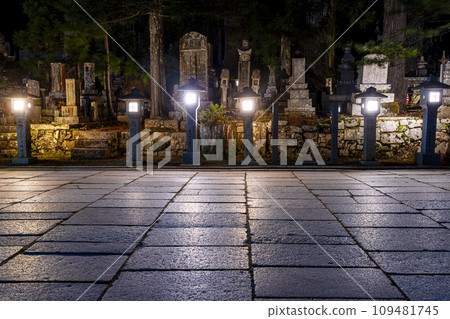 Stone lanterns in Okunoin cemetery 109481745