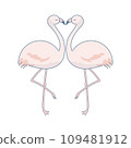 Illustration material of two flamingos facing each other 109481912