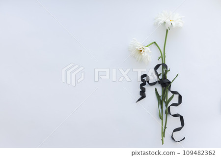 Black funeral ribbon with two white withered flowers. Black funeral ribbon with two white withered flowers. 109482362