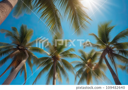 Tropical Palm Tree on Paradise Island with Clear Sky and Ocean 109482640