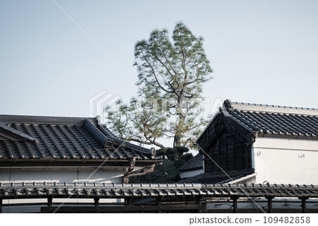 以復古建築聞名的栃木市的街道,以及貫穿城市的花川上的觀光船。 以復古建築聞名的栃木市的街道,以及貫穿城市的花川上的觀光船。 109482858
