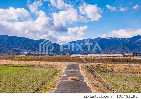 Mountain scenery seen from a winter wheat field 109483195