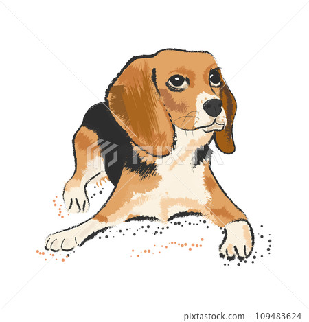 Black and orange retriever with big eyes on white background with dots 109483624