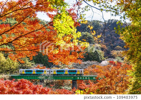 秋天從福島縣山津町山津山公園看到的水郡線列車 秋天從福島縣山津町山津山公園看到的水郡線列車 109483975