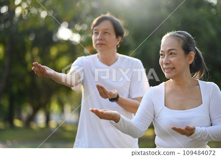 Calm senior couple working out with Tai Chi in the morning at the park. Healthy lifestyle concept Calm senior couple working out with Tai Chi in the morning at the park. Healthy lifestyle concept 109484072
