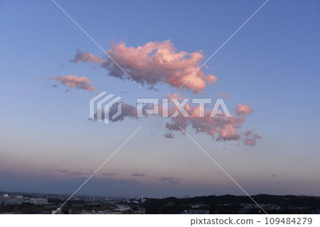 Pink clouds floating in the eastern sky in the evening 109484279