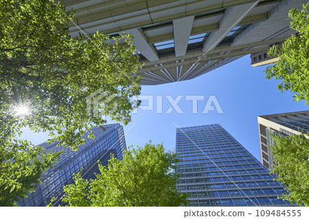 Scenery of a green office district looking up at skyscrapers 109484555