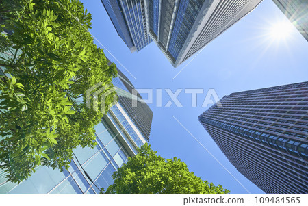 Scenery of a green office district looking up at skyscrapers Scenery of a green office district looking up at skyscrapers 109484565