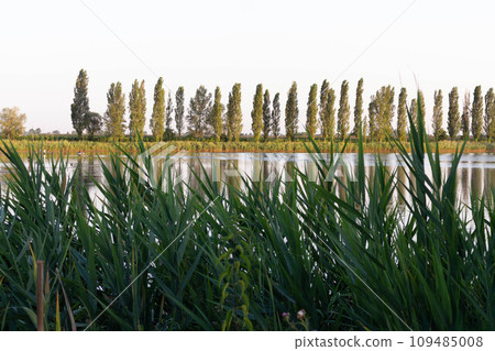 Lakes in the middle of crop fields on the Padan plains Lakes in the middle of crop fields on the Padan plains 109485008