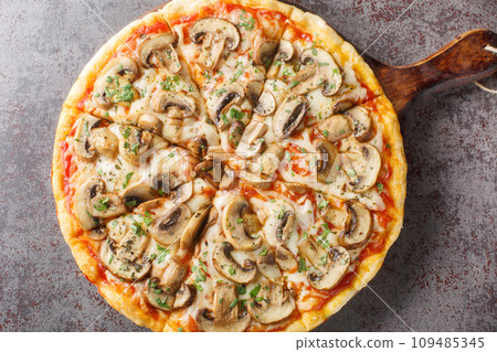 Italian Delicious Fresh Hot Baked Pizza with Melting Cheese, sliced mushrooms , tomato sauce close-up on a wooden board. Horizontal top view 109485345