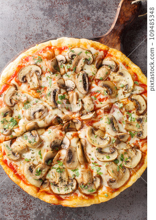 Pizza funghi with tomato sauce, mozzarella and fresh mushrooms close-up on a wooden board. Vertical top view Pizza funghi with tomato sauce, mozzarella and fresh mushrooms close-up on a wooden board. Vertical top view 109485348