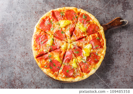 Sliced Pizza with salami, Pepperoncini , mozzarella, herbs and red onions close-up on a wooden board. Horizontal top view 109485358