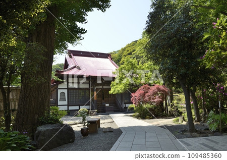 常泉寺和多屋洞 常泉寺和多屋洞 109485360
