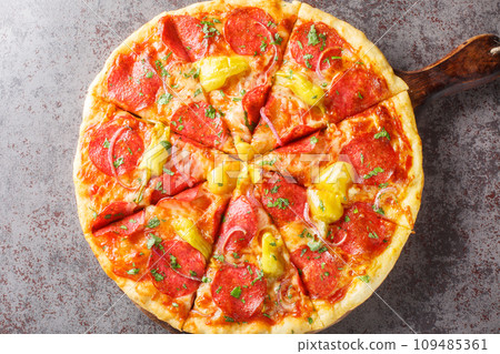 Pepperoncini Pizza with salami, herbs and red onions close-up on a wooden board. Horizontal top view 109485361