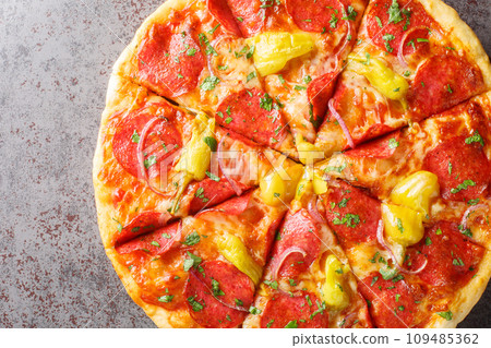 Delicious homemade salami pizza with pepperoncini pepper, red onion, mozzarella close-up on a wooden board. Horizontal top view 109485362