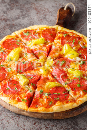 Spicy salami pizza with pepperoncini peppers, red onion, mozzarella and herbs close-up on a wooden board. Vertical 109485374