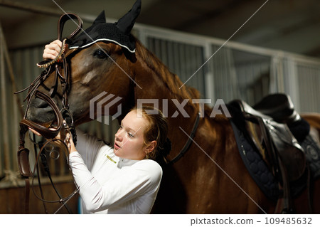 Woman rider jockey at stable preparing puts on the bridle horse racing or jumping competition 109485632