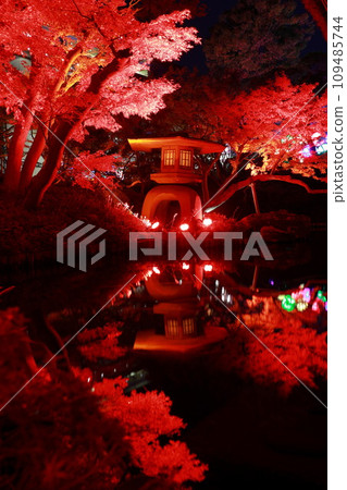 Happoen Autumn Light-up Happoen Autumn Light-up 109485744