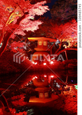 Happoen Autumn Light-up Happoen Autumn Light-up 109485745