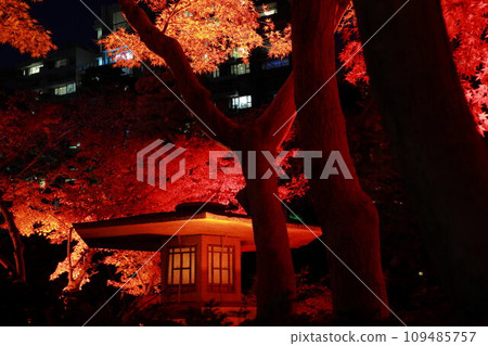 八芳園秋季點燈 八芳園秋季點燈 109485757