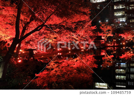 Happoen Autumn Light-up Happoen Autumn Light-up 109485759