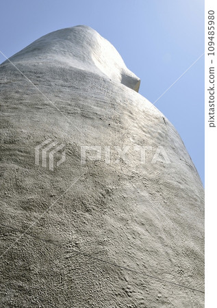 大船觀世音菩薩的背影 109485980