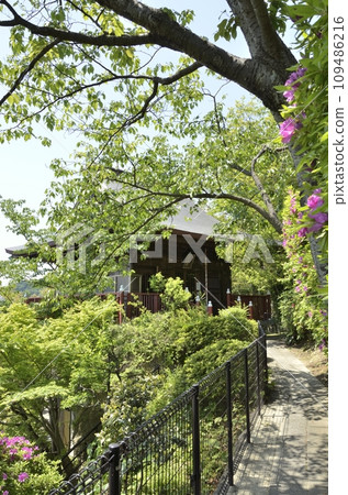 Jikodo Hall of Ofuna Kannonji Temple Jikodo Hall of Ofuna Kannonji Temple 109486216