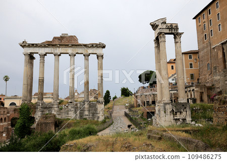 Roman Forum, Rome, Italy 109486275