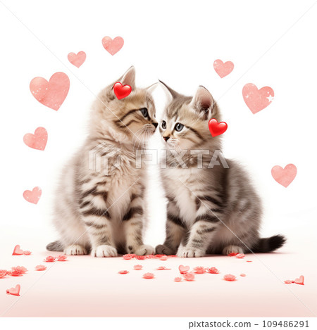 Two cute kittens sitting next to each other isolated on a white background Two cute kittens sitting next to each other isolated on a white background 109486291