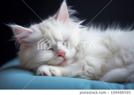 White cat sleeping peacefully White cat sleeping peacefully 109486595