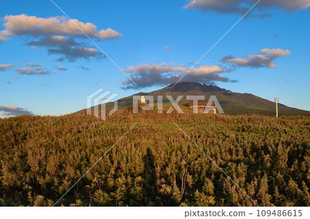 Autumn scenery with silhouettes (Mount Rishiri at dusk) 109486615