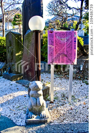 [東京]春天的赤羽八幡神社，院內有稻葉白兔石像 109486739