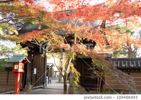 Autumn leaves at Kuhonbutsu Joshinji Temple in Setagaya Ward Autumn leaves at Kuhonbutsu Joshinji Temple in Setagaya Ward 109486893