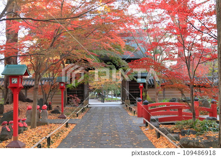 Autumn leaves at Kuhonbutsu Joshinji Temple in Setagaya Ward 109486918