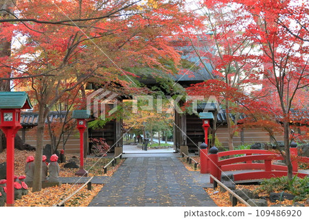 世田谷區九本佛上心寺的秋葉 109486920