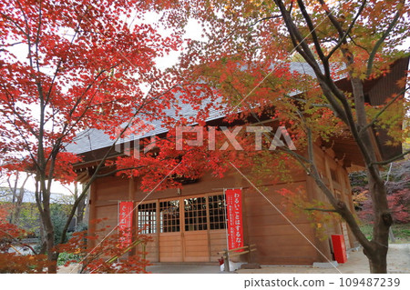 東京都世田谷區九本佛上心寺的秋葉、圓間寺 東京都世田谷區九本佛上心寺的秋葉、圓間寺 109487239