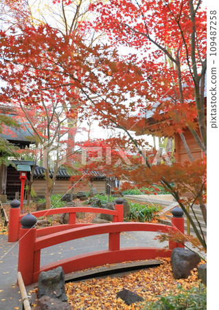 東京都世田谷區九本佛上心寺的秋葉、圓間寺 東京都世田谷區九本佛上心寺的秋葉、圓間寺 109487258