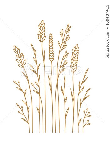 Hand drawn pattern wild grasses, herbs, flowers, meadow plants Hand drawn pattern wild grasses, herbs, flowers, meadow plants 109487415