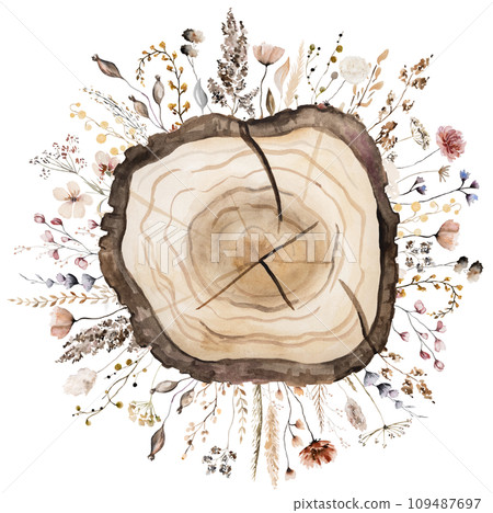 Watercolor wooden slice with brown and beige wildflowers bouquet. Isolated illustration Watercolor wooden slice with brown and beige wildflowers bouquet. Isolated illustration 109487697