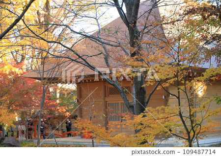 Autumn leaves at Kuhonbutsu Joshinji Temple in Setagaya Ward, Tokyo 109487714
