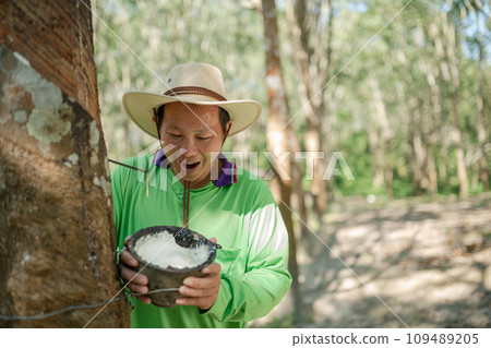 Rubber farmers are happy with the yield in the rubber plantations. 109489205