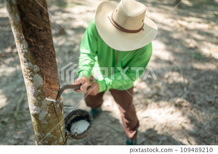 Top view Farmers tapping rubber 109489210