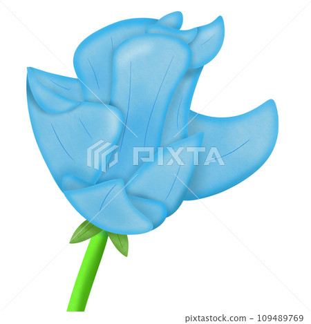 flower with water drops 109489769