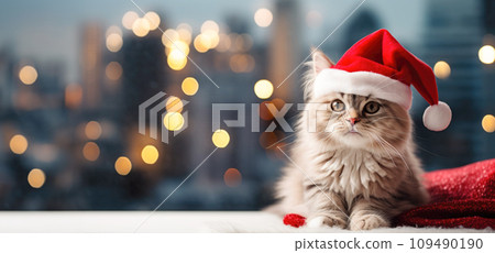 Festive feline in a Christmas apartment, a cozy companion amid holiday decorations Festive feline in a Christmas apartment, a cozy companion amid holiday decorations 109490190
