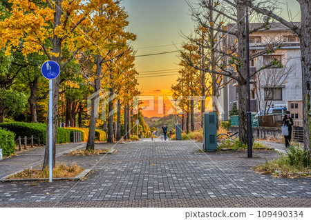 Urban landscape of Tsuzuki Ward, Yokohama City Nakagawa Station 109490334