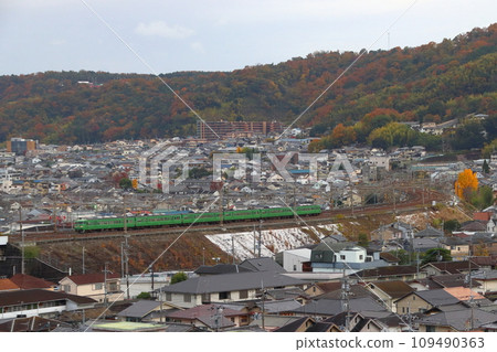 Kosei Line 117 series train seen from the hill of Yamashina Canal in autumn 109490363