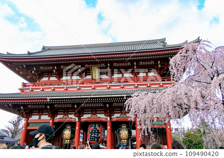 【東京】春天的淺草、淺草寺寶藏門、垂枝櫻花盛開 【東京】春天的淺草、淺草寺寶藏門、垂枝櫻花盛開 109490420