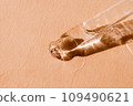 Demonstrating color of the year 2024. Pastel beige colored background with copy space showing trendy color for the nex year. High quality photo 109490621