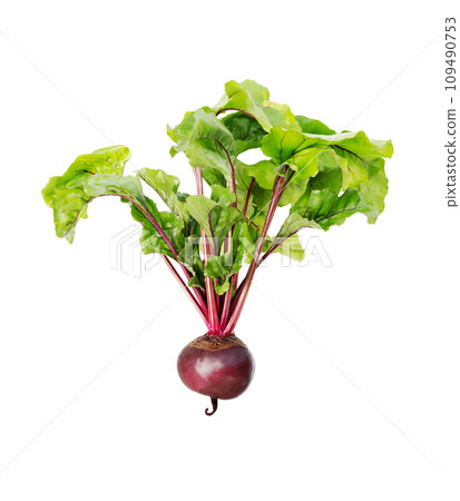 Beetroot with leaves, fresh whole beet isolated 109490753